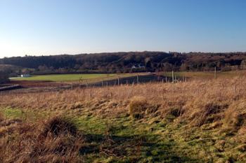 View from Bryants Lane to Stone Lane Hill Pit January 2009